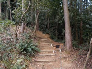 寒いけど、山道ではビリー絶好調