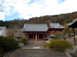 矢田寺