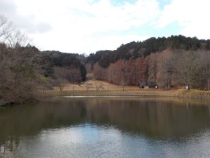 子供の森の池