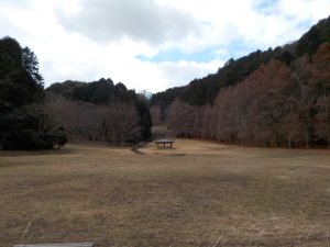 子供の森