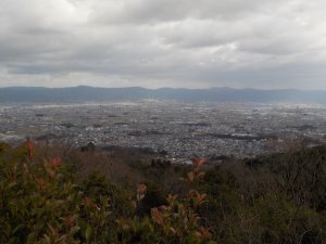 大和盆地が一望