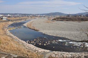 紀ノ川