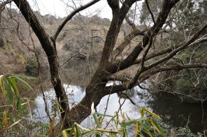 ため池の多い里山の中