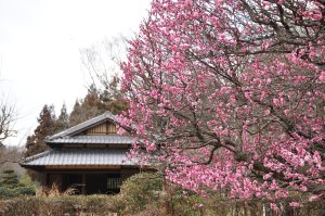 河内の里　里の家