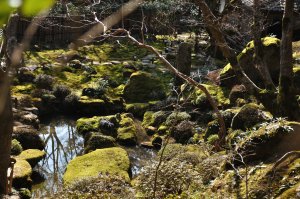 教林坊の庭園