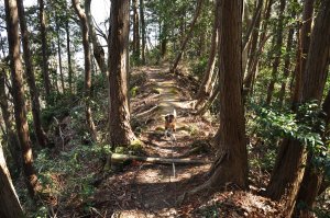 土塁沿いの道