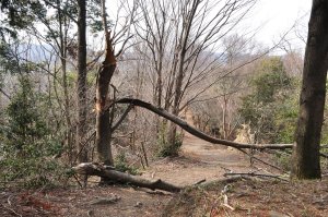 昨年の台風被害