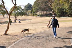 広々とした公園