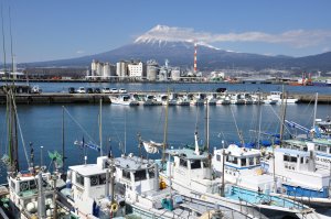 田子の浦より