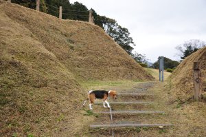 二の丸虎口