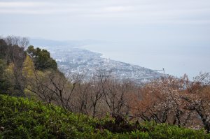 小田原の街が眼下に