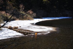 白浜が見えてきた