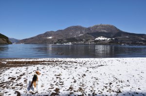 静かな湖岸の浜辺に降りてみる