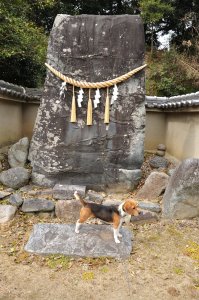 甘樫神社　くがたちの石の前で