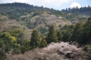 三輪山山麓