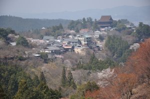 隣の尾根より蔵王堂と吉野の街並