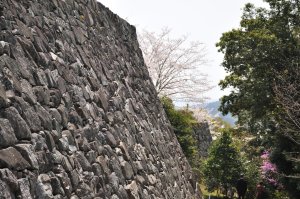 伊賀上野城石垣