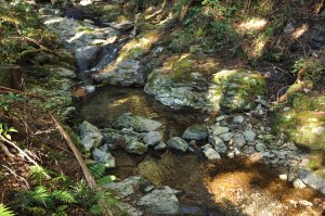 象の小川（きさのおがわ）