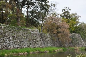 金亀公園より