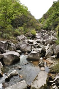 下の遊歩道より