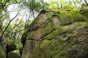 巨岩の先に