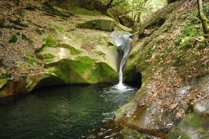 竜鎮の滝