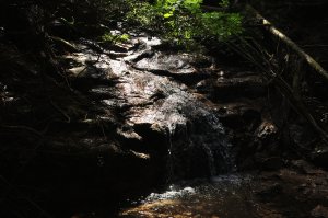 渓流沿いの道を歩く