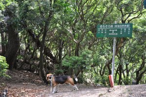 ぞろぞろ峠