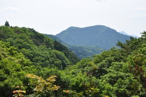 峠付近よりの展望