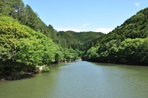 通宝寺池