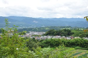 里山の森を歩き