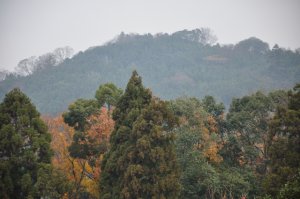 春日山　なんかお天気が悪いな