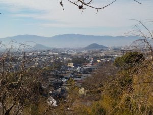 狭井神社の近くの展望台より