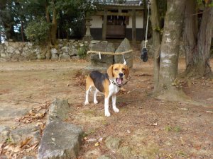 中山神社