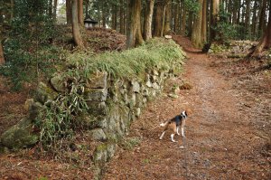 山岳寺院跡　石塁