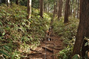 飯道山へ